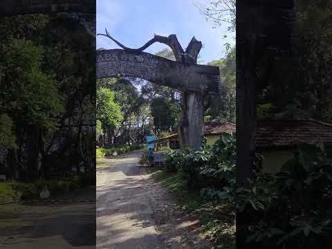 Welcome gate of Seethargundu Tea estate Nelliyampathy