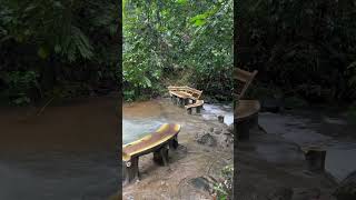 #shortfeeds , #wildtrails , #malayalamvlogger , #streams , #monsoon , #shorts