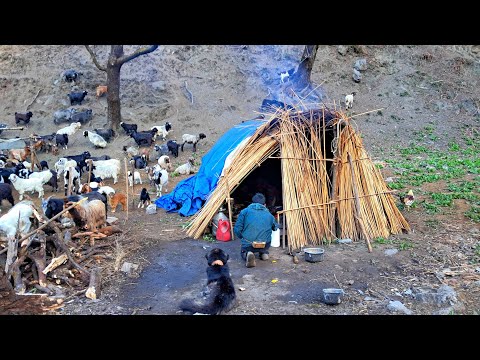 A Day In The Life Of A Himalayan VillagerA Day In The Life Of A Himalayan Village