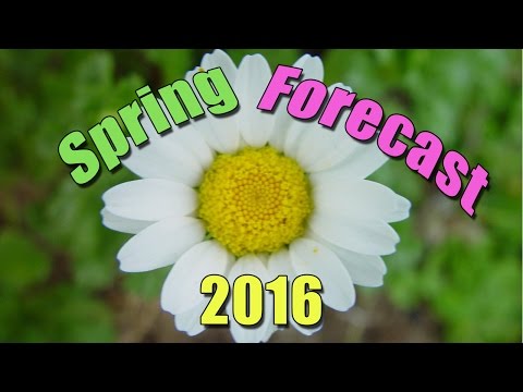 Spring Forecast 2016