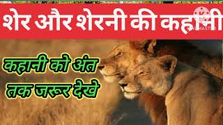 शेर और शेरनी की कहानी।                         Sher or sherni ki kahani.               Lion story 🦁🦁