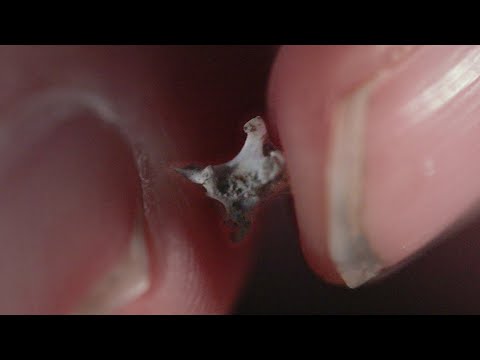 Searching for Bat Fossils in Colombia