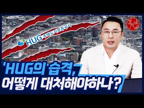 HUG의 습격, 어떻게 대처해야 하나?! [경매톡]