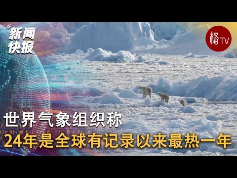 世界气象组织称，2024年是有记录以来最热的一年 【新闻快报】