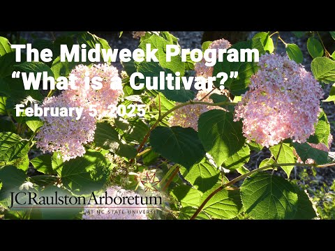 The Midweek Program - "What is a Cultivar & Why Should You Care?"