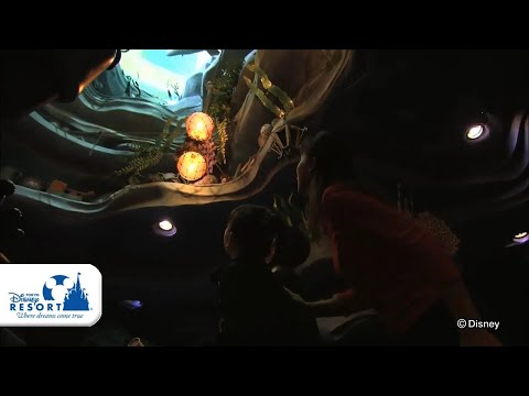 【公式】アリエルのプレイグラウンド / Ariel's Playground | 東京ディズニーシー/Tokyo DisneySea