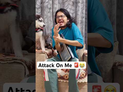 Dog Vs Owner #shorts #dog #husky #trendingsongs #kaathumela