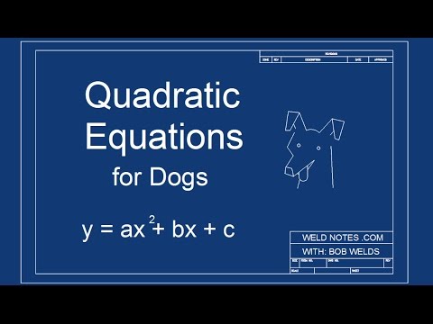 Intro to Quadratic Equations (Quadratics for Dogs)