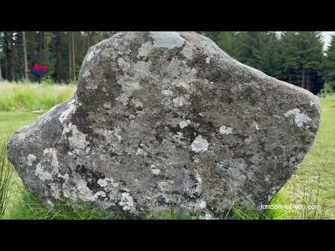 1536 Каменный круг Fernworthy Stone Circle