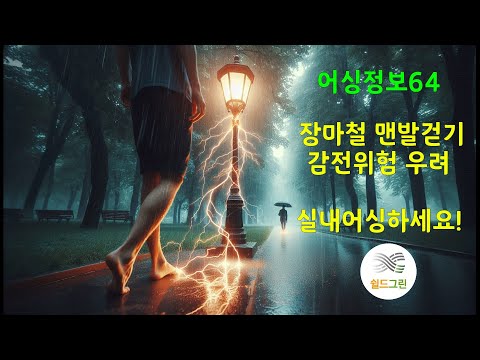 어싱정보64-맨발걷기,맨발어싱 주의하세요-장마철,비율때 감전우려