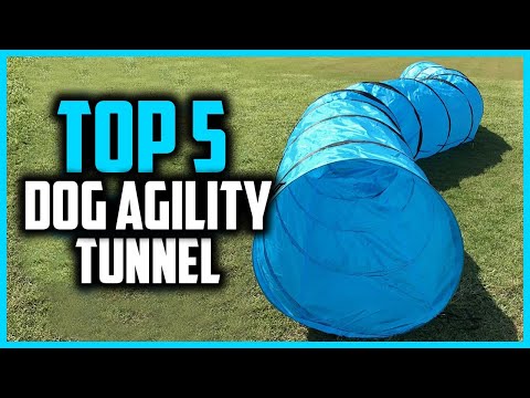 ✅Top 5 Best Dog Agility Tunnel in 2025