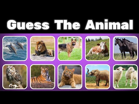 Can You GUESS THE ANIMAL | Easy, Medium, Hard 🦁🦖