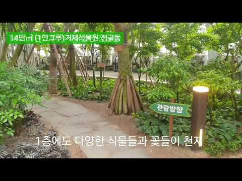 14만㎡ (1만그루) 거제식물원 정금돔 거제도를 찾는 많은 관광객들에게 인기 있는 핫플레이스가 되고 있어요.