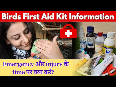 Pet first aid kit information| Bird injury first aid medicines| #avian #parrots #firstaid