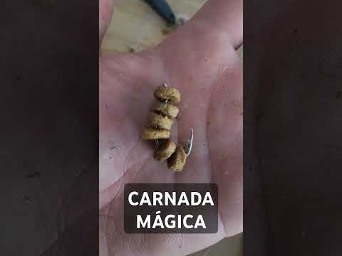 Carada mágica, magic bait. Pesca urbana