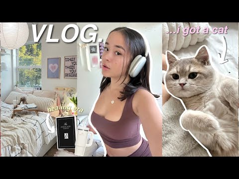 VLOG › focusing on myself, getting a cat, my healing era, new hair