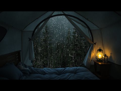 Rain in a tent in the middle of the forest - The sound of deep forest rain, noise to sleep for 24hrs