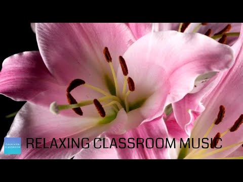 Relaxing Music For Classroom Work - Blooming Lillies - Calming classroom music for children