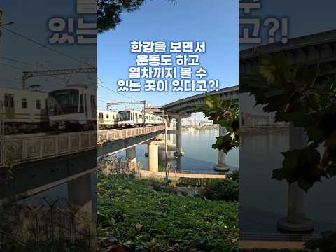 도파민 중독자인데... 여기 @1이랑 와볼까? #shorts