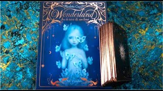 Nicoletta Ceccoli Wonderland Tarot Cards🌙 NEW Deck Release 🌟 I am SHOCKED! I did not expect this 😱