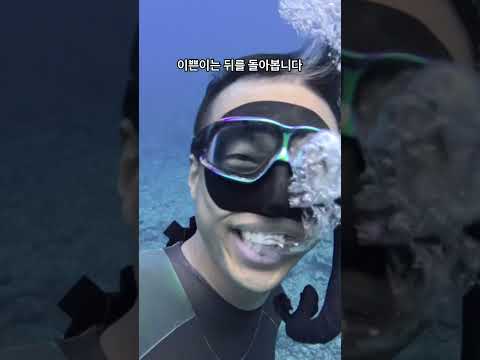 이쁜이는 뒤를 돌아봅니다