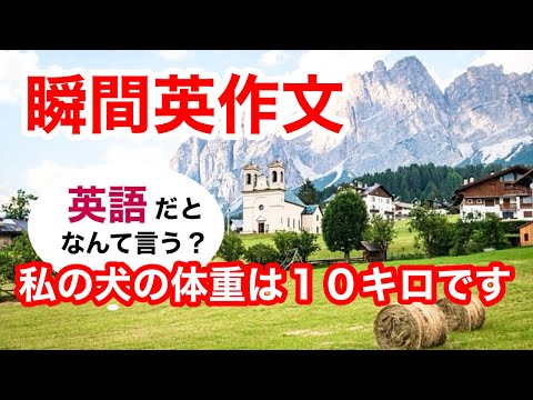 瞬間英作文386　英会話「私の犬の体重は１０キロです」英語リスニング聞き流し