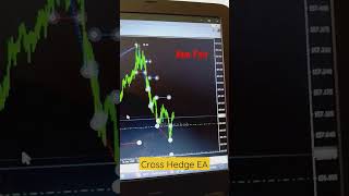 Cross Hedge EA | 100% win Hedging Strategy | Win both side #ytshorts #forex #finance #reels #tiktok