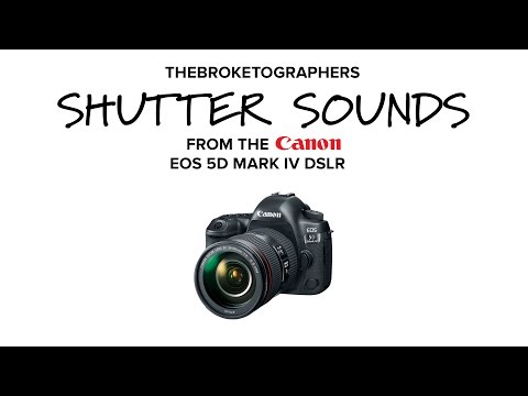 The Broketographers - Canon 5D4 Mark IV  Shutter Sounds