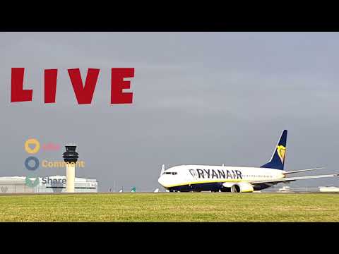 LIVE Arrivals & Departures Manchester Airport . 29 January 2025.