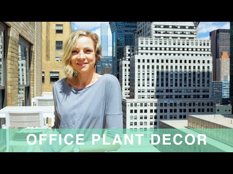 Office Plant Decor With Just 8 Plants