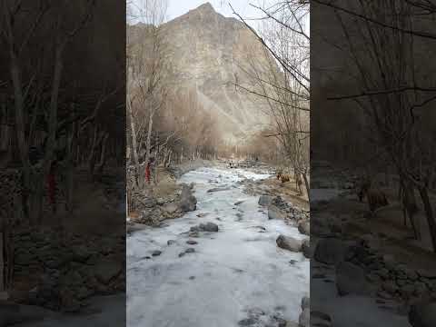 Water Stream Freeze In Winter