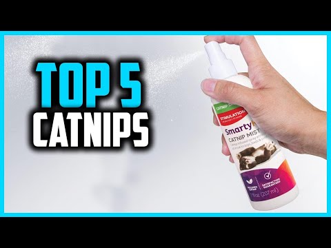 ✅Top 5 Best Catnips Your Kitty Will Go Gaga Over in 2024