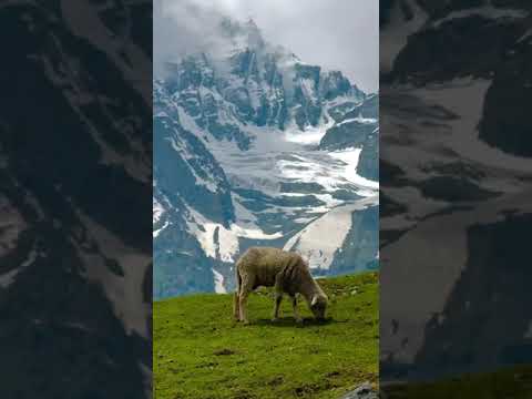 Mountain Serenity In Kashmir #mountainserenity #mountainview #kashmir