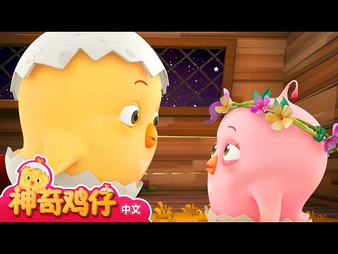 神奇鸡仔 16~18 | 30分 | 卡通動畫 | 好習慣卡通動畫 | Como Kids TV