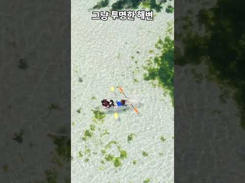 제주도에서 가장 투명한 해변