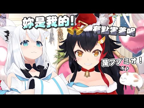 【６周年記念】宣示主權的狐｜【hololive / 大神澪 / 白上吹雪】