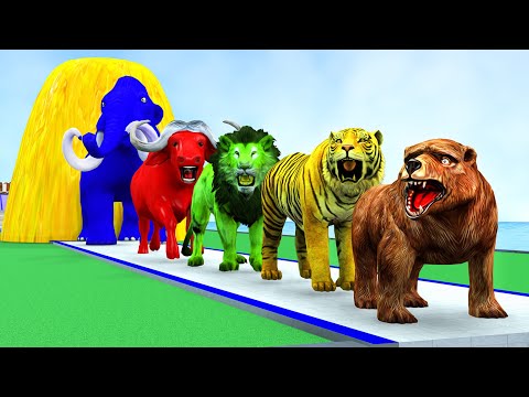 Paint & Animals Brown Bear Lion Tiger Cow Mammoth Elephant Fountain Crossing Animals Transformation