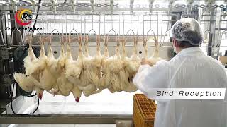 Most Affordable Automatic Compact Slaughter Line for Chicken Processing | Eruis