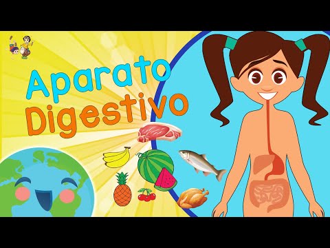 Aparato Digestivo para Niños: Qué es la Digestión?  (Sistema Digestivo para Niños)