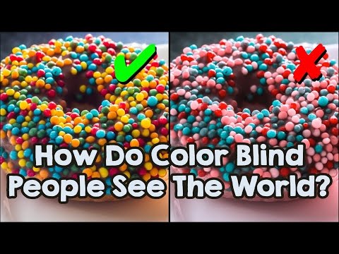 How Do Color Blind People See The World?