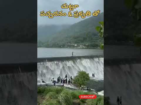 ప్రకృతి మధ్యలో.. #nature #canal #naturelovers #naturephotography