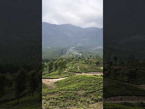 Munnar tribal village view