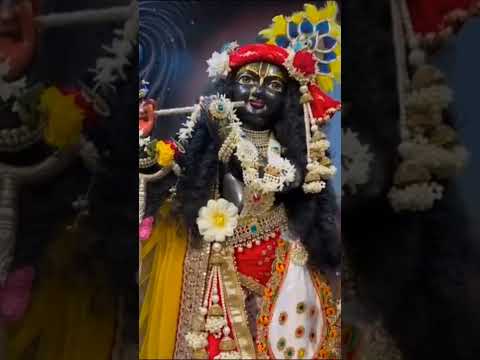 #mandirdarshan#मंदिर दर्शन सांवरे के | मेरा प्यारा सांवरिया 😍😍😍🙏🙏🙏