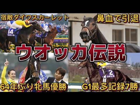 【最強牝馬】ウオッカの伝説エピソード【ゆっくり解説】