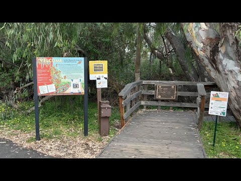 [4KHDR]  Natural Bridges Monarch Trail (No Monarchs)