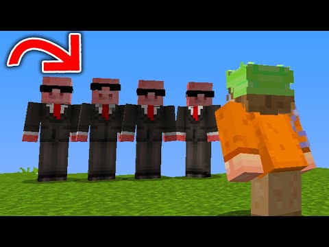 I Hired Henchmen On A Public Lifesteal SMP...