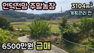 (매물번호13109) 6500만원 청양부동산 3104㎡(939) 청양땅 청양토지매매매물 시골땅 촌땅 주말농장 텃밭 가격 싼땅 급매