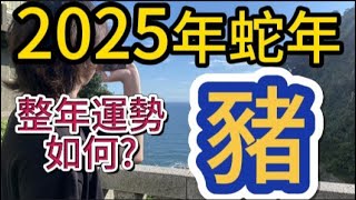 【古柏論命 - 張古柏】2025年乙巳年12生肖整年運勢透析 – 豬