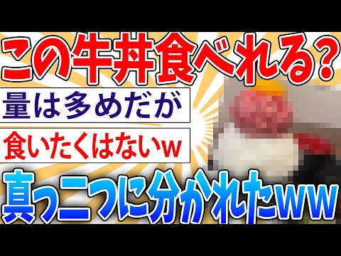 【画像】この肉丼、食える人と食えない人が真っ二つに分かれることが判明【2ch面白いスレ】