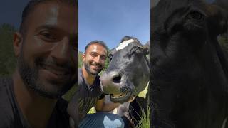 Happy Animals at the Happy Herd Sanctuary! #AnimalRightsAwarenessWeek